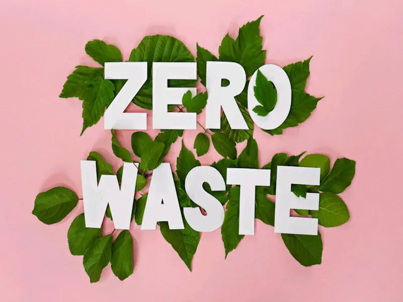 Words 'zero waste' in white caps on bed of green leaves against pink background