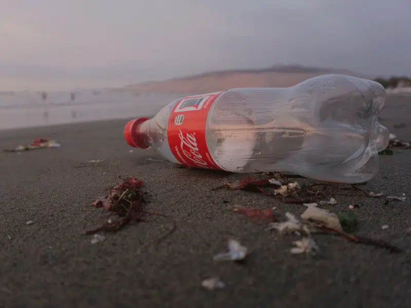 Empty Coca Cola bottle on beach.