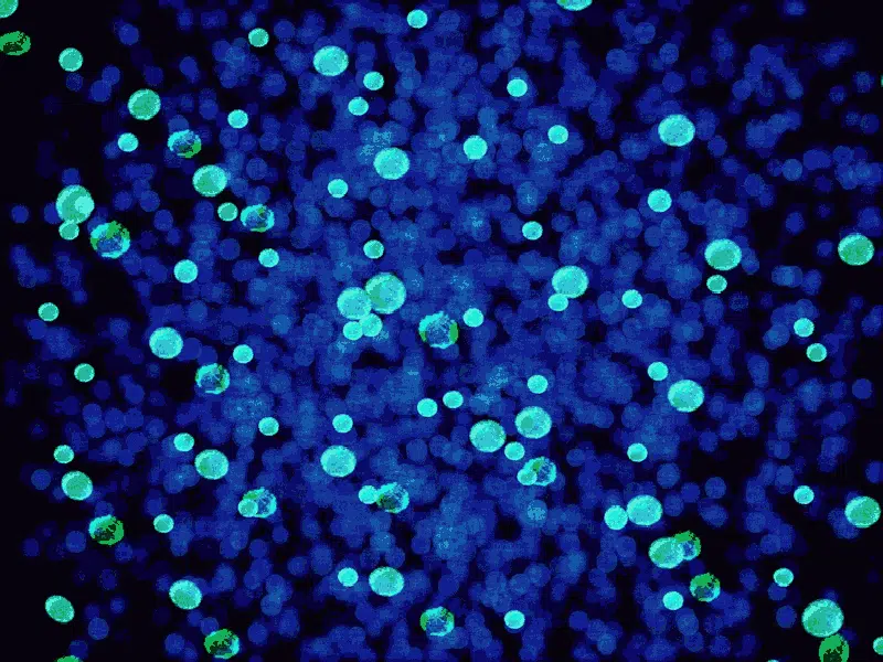 Green and blue bacteria.