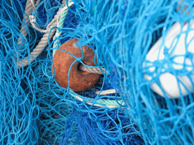 Plastic fishing nets.