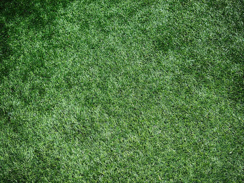 Artificial grass.