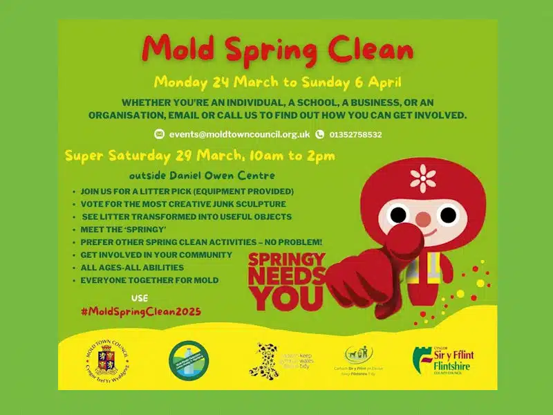 Mold Spring Clean 2025